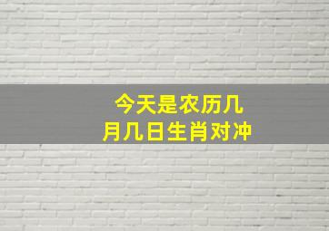 今天是农历几月几日生肖对冲