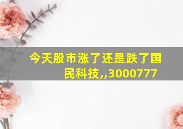 今天股市涨了还是跌了国民科技,,3000777