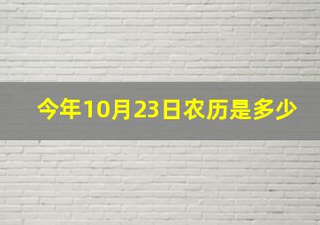 今年10月23日农历是多少