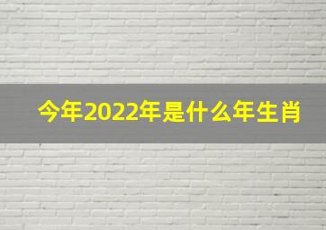 今年2022年是什么年生肖