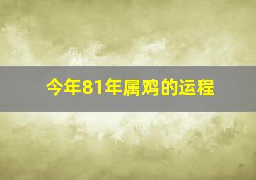 今年81年属鸡的运程