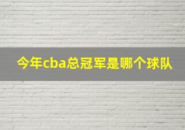 今年cba总冠军是哪个球队