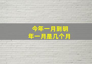 今年一月到明年一月是几个月