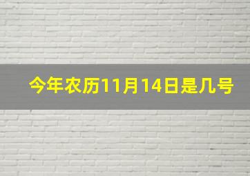 今年农历11月14日是几号