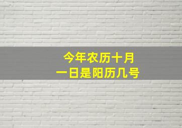 今年农历十月一日是阳历几号