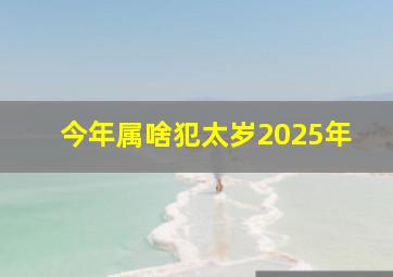 今年属啥犯太岁2025年