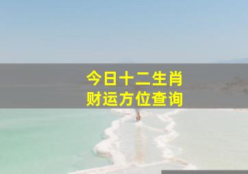 今日十二生肖财运方位查询