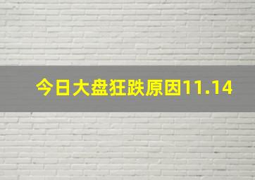 今日大盘狂跌原因11.14