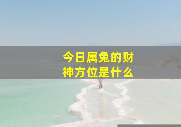 今日属兔的财神方位是什么