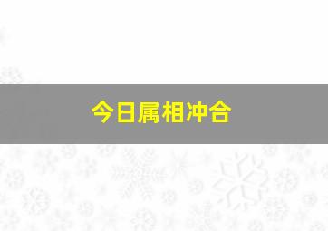 今日属相冲合