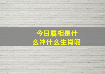 今日属相是什么冲什么生肖呢