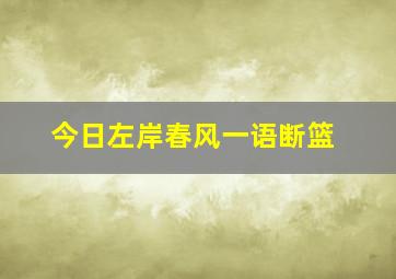 今日左岸春风一语断篮