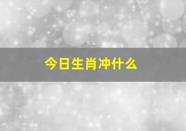 今日生肖冲什么