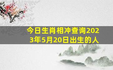 今日生肖相冲查询2023年5月20日出生的人