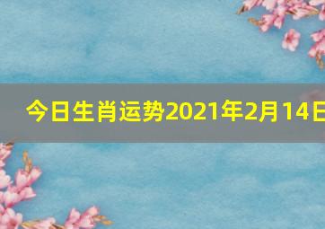 今日生肖运势2021年2月14日