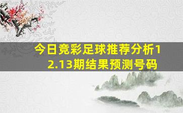 今日竞彩足球推荐分析12.13期结果预测号码