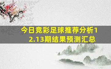 今日竞彩足球推荐分析12.13期结果预测汇总