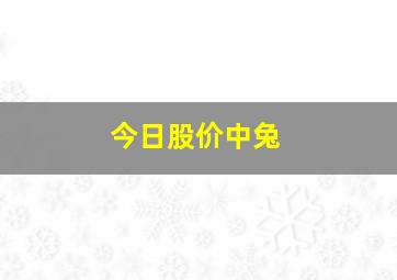 今日股价中兔