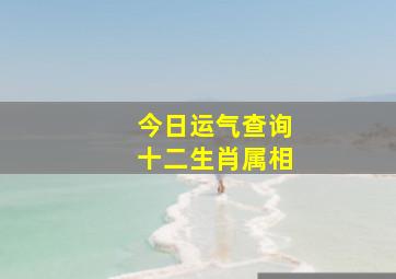 今日运气查询十二生肖属相