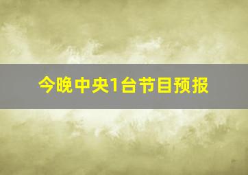 今晚中央1台节目预报