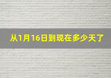 从1月16日到现在多少天了