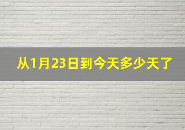 从1月23日到今天多少天了