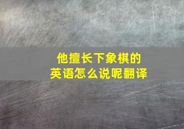 他擅长下象棋的英语怎么说呢翻译