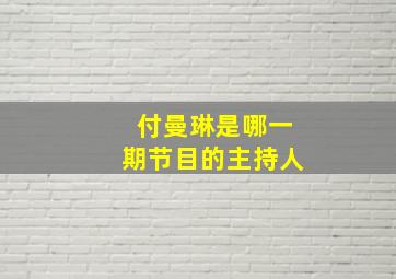 付曼琳是哪一期节目的主持人