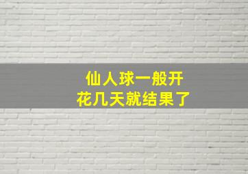 仙人球一般开花几天就结果了