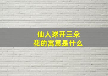 仙人球开三朵花的寓意是什么