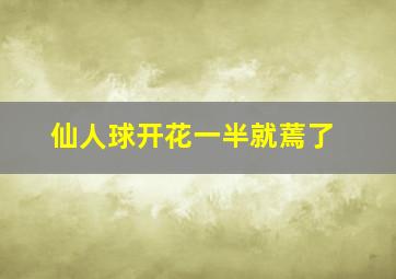 仙人球开花一半就蔫了