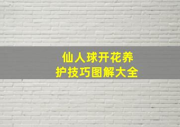 仙人球开花养护技巧图解大全