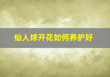 仙人球开花如何养护好