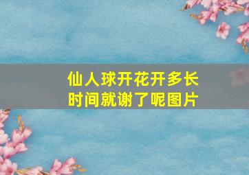 仙人球开花开多长时间就谢了呢图片