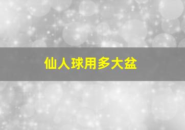 仙人球用多大盆