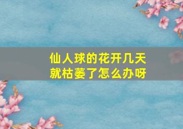 仙人球的花开几天就枯萎了怎么办呀