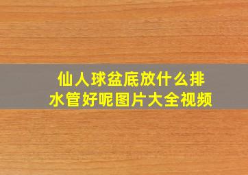 仙人球盆底放什么排水管好呢图片大全视频