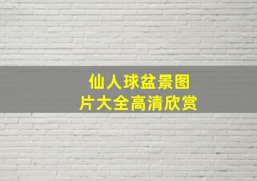 仙人球盆景图片大全高清欣赏