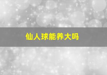 仙人球能养大吗