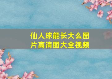 仙人球能长大么图片高清图大全视频