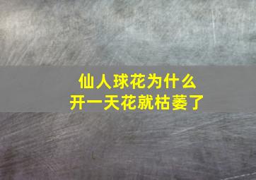 仙人球花为什么开一天花就枯萎了