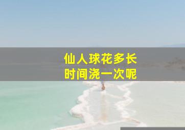 仙人球花多长时间浇一次呢