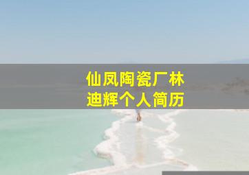 仙凤陶瓷厂林迪辉个人简历