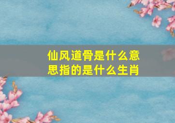 仙风道骨是什么意思指的是什么生肖