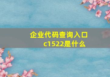 企业代码查询入口c1522是什么