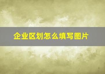 企业区划怎么填写图片