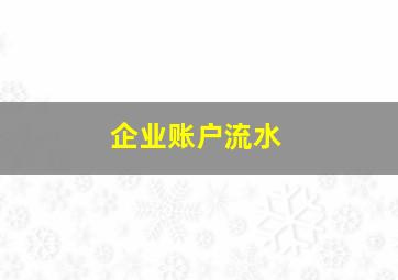 企业账户流水