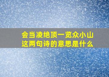 会当凌绝顶一览众小山这两句诗的意思是什么