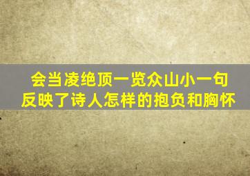 会当凌绝顶一览众山小一句反映了诗人怎样的抱负和胸怀