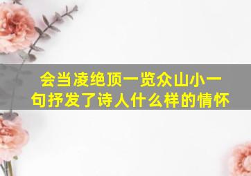 会当凌绝顶一览众山小一句抒发了诗人什么样的情怀